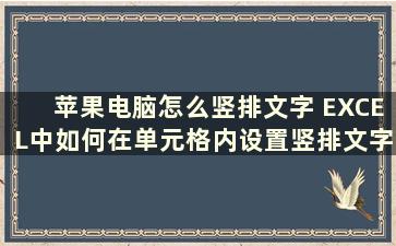 苹果电脑怎么竖排文字 EXCEL中如何在单元格内设置竖排文字